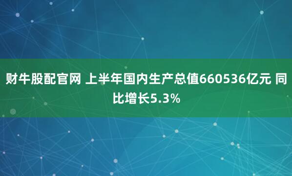 财牛股配官网 上半年国内生产总值660536亿元 同比增长5.3%