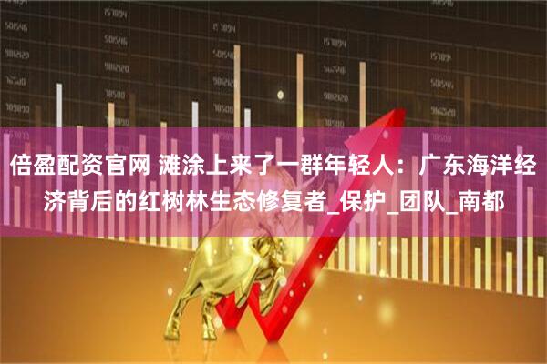 倍盈配资官网 滩涂上来了一群年轻人:广东海洋经济背后的红树林生态修复者_保护_团队_南都