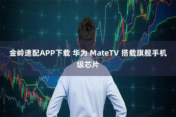 金岭速配APP下载 华为 MateTV 搭载旗舰手机级芯片