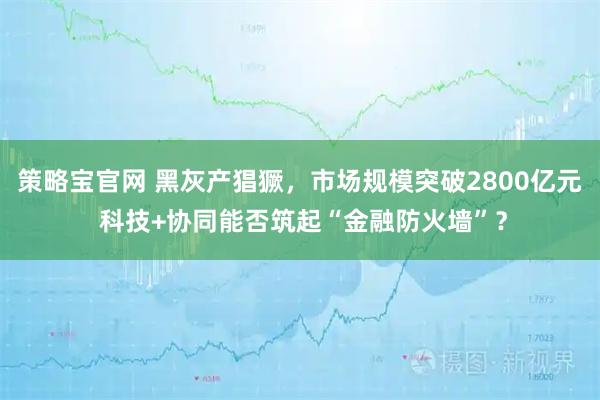 策略宝官网 黑灰产猖獗,市场规模突破2800亿元 科技+协同能否筑起“金融防火墙”?