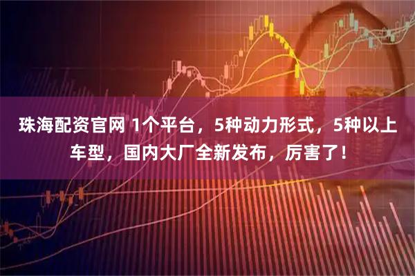 珠海配资官网 1个平台，5种动力形式，5种以上车型，国内大厂全新发布，厉害了！